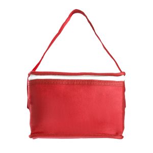 Bolsa Térmica em TNT 80g/m² - Brinde Corporativo Personalizado | Enova