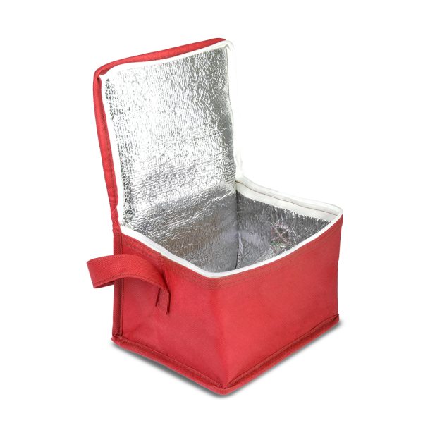 Bolsa Térmica em TNT 80g/m² - Brinde Corporativo Personalizado | Enova