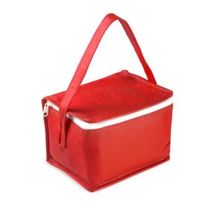 Bolsa Térmica em TNT 80g/m² - Brinde Corporativo Personalizado | Enova
