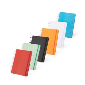 Caderno de Disco Grande
