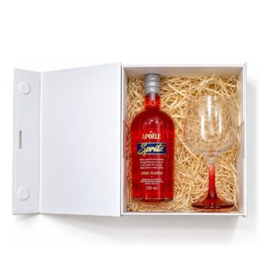 Kit Spritz Zero Álcool Personalizado KT105ZERO